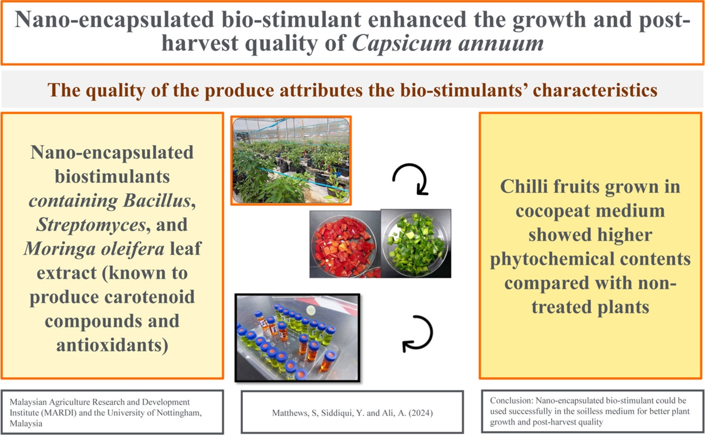 pimiento bioestimulantes.jpg